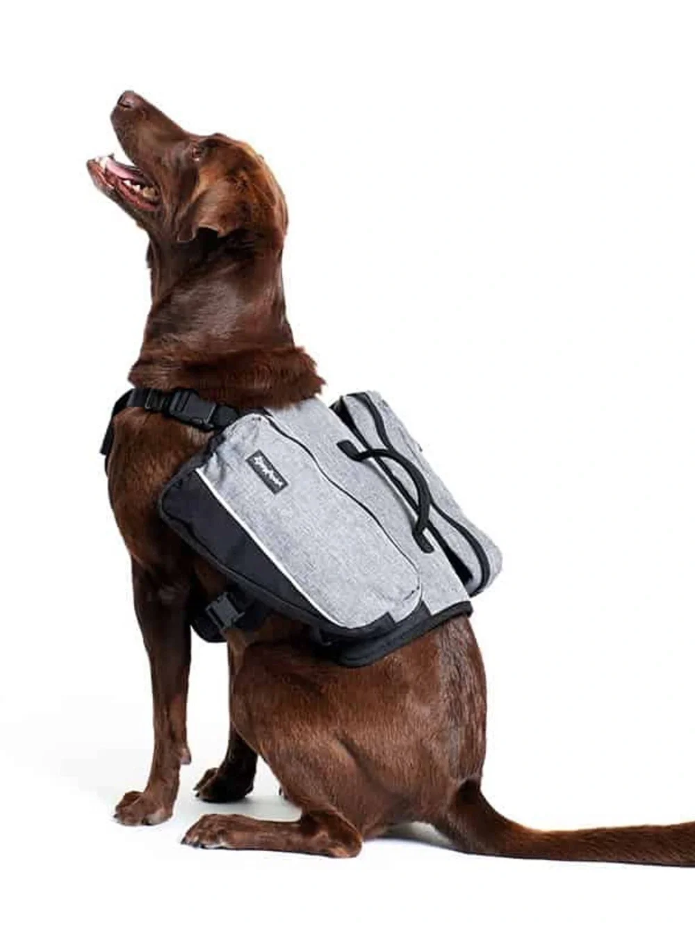ZippyPaws Adventure Dog Backpack, Graphite X-Large
